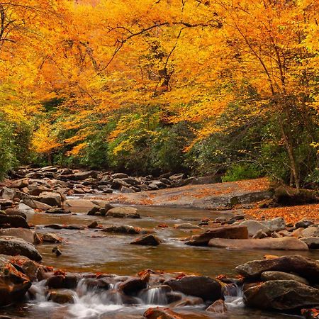 גטלינבורג Peace, Serenity & Relaxation In The Smokies! מראה חיצוני תמונה