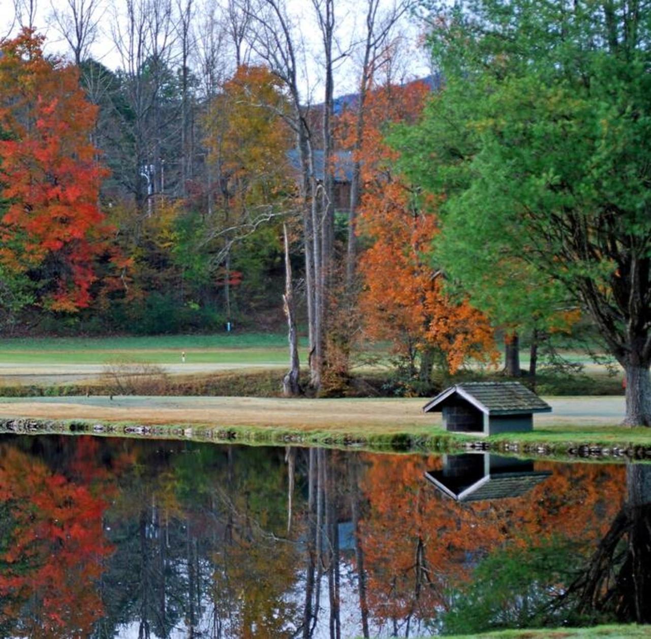 גטלינבורג Peace, Serenity & Relaxation In The Smokies! מראה חיצוני תמונה
