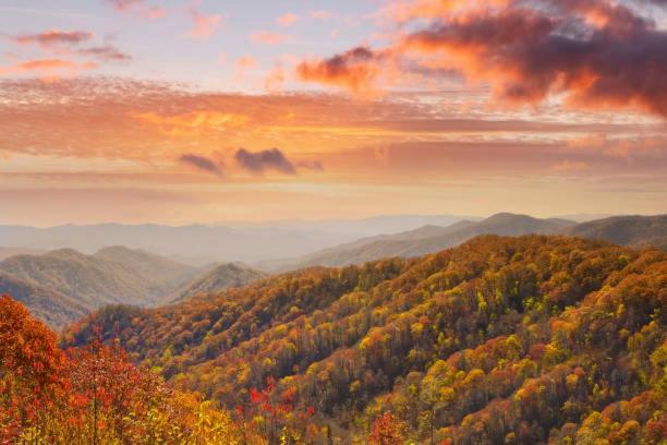 גטלינבורג Peace, Serenity & Relaxation In The Smokies! מראה חיצוני תמונה