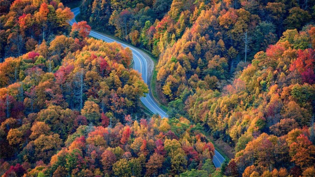 גטלינבורג Peace, Serenity & Relaxation In The Smokies! מראה חיצוני תמונה