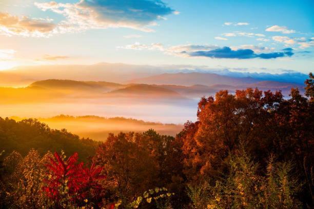 גטלינבורג Peace, Serenity & Relaxation In The Smokies! מראה חיצוני תמונה