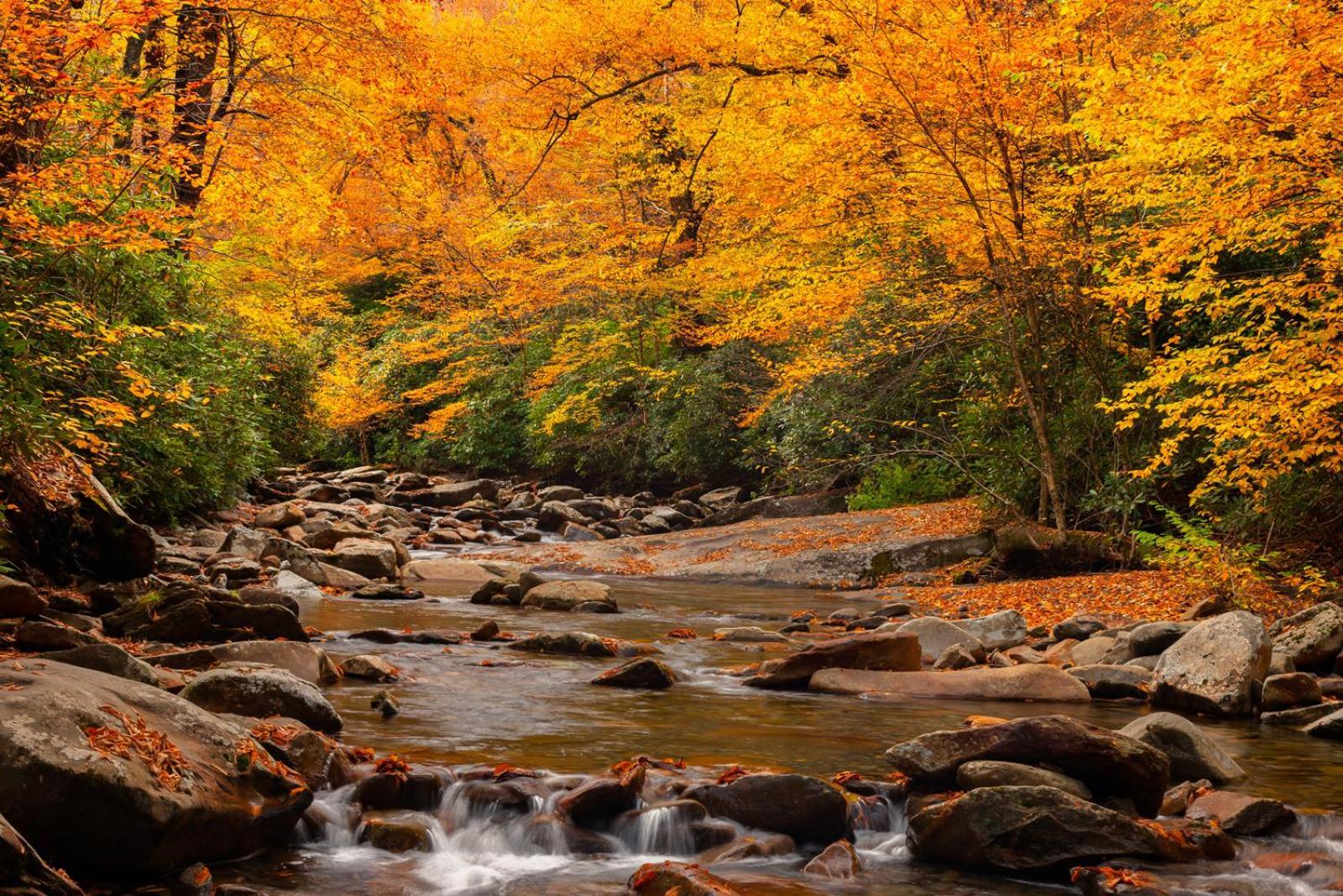 גטלינבורג Peace, Serenity & Relaxation In The Smokies! מראה חיצוני תמונה
